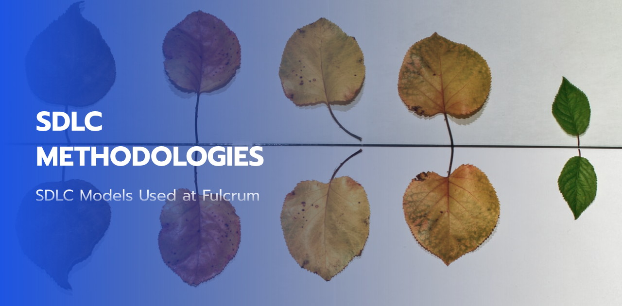 Software Development Life Cycle & SDLC Models Used at Fulcrum
