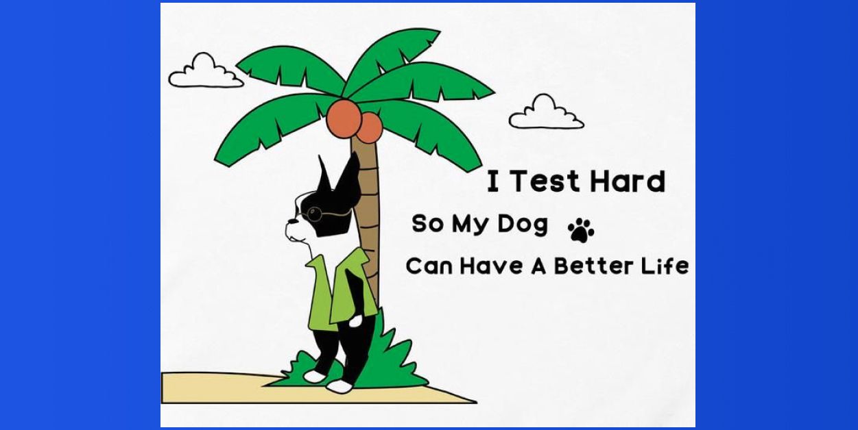 QA jokes: I test hard so my dog can have a better life