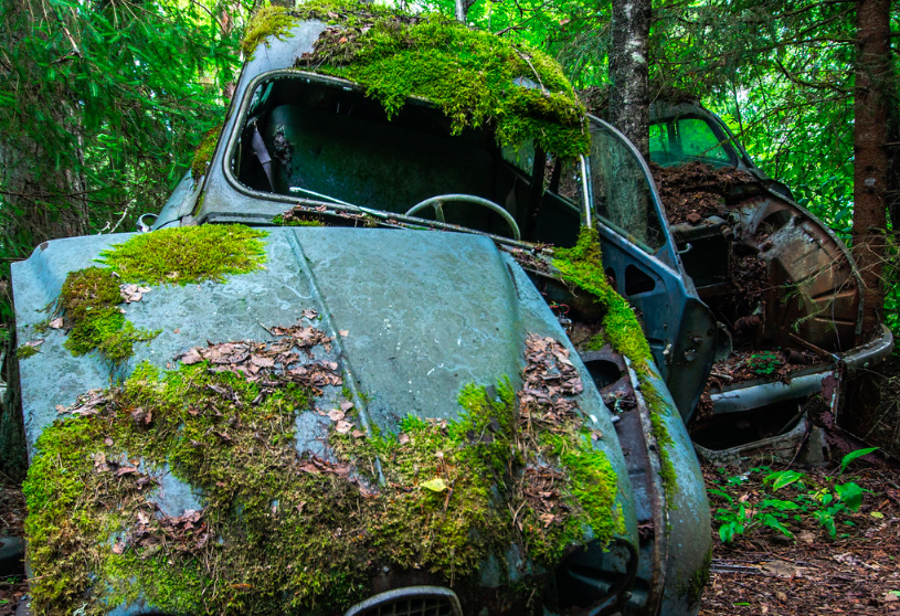 Pesquisa mostra alta quantidade de lixo na floresta amazônica