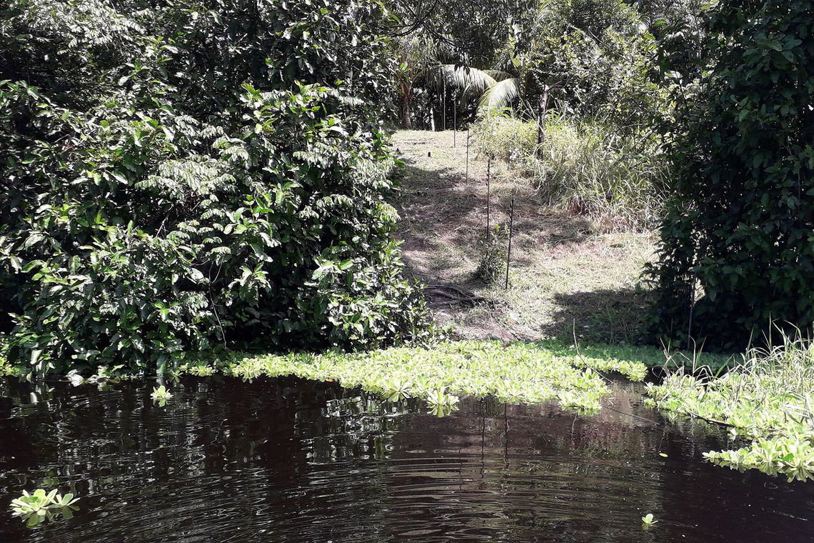 Pesquisa descobre 20 ilhas construídas por indígenas na Amazônia