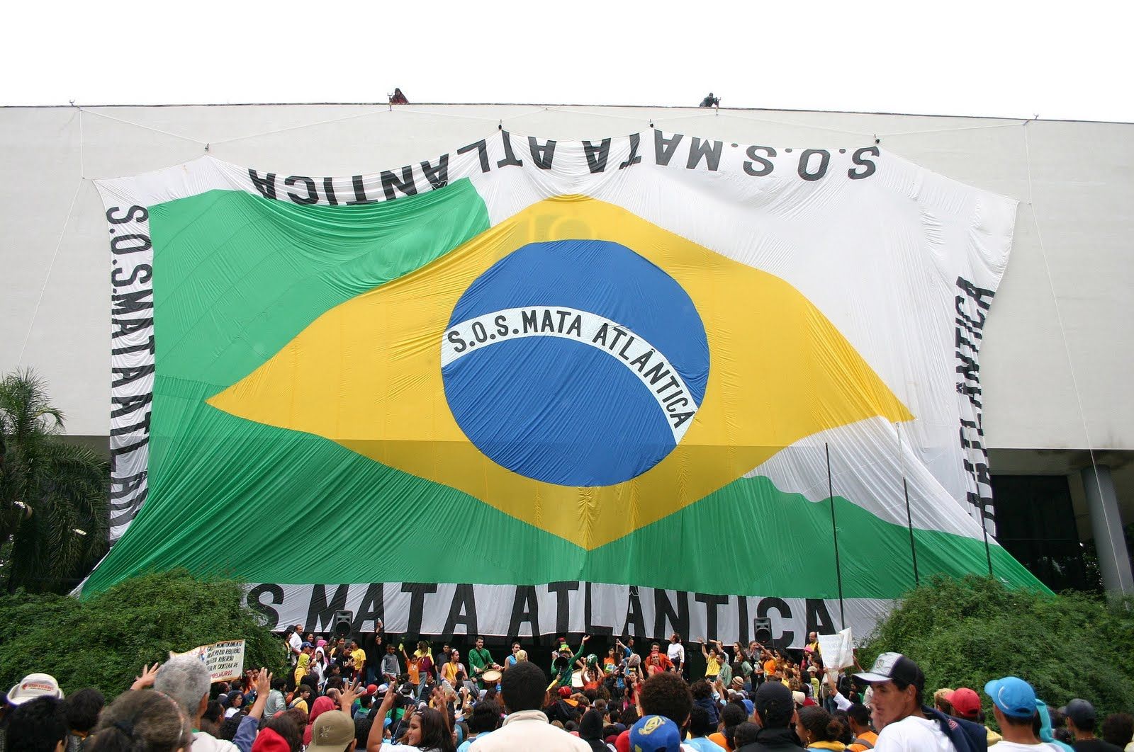 Dito & Feito - Aberta temporada de caça às  ONGs