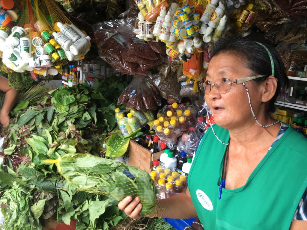 Cresce a procura por plantas medicinais em Manaus