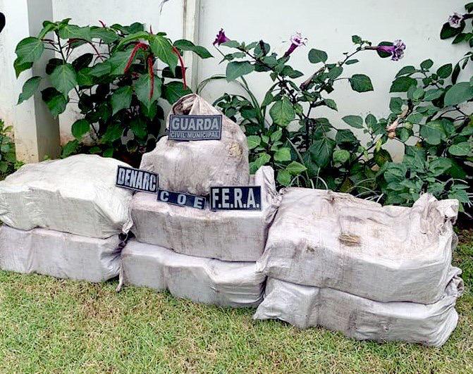 Colombiano é preso com 136 kg de skunk em Barcelos