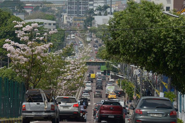 Confira as datas de reabertura de cada segmento no Amazonas
