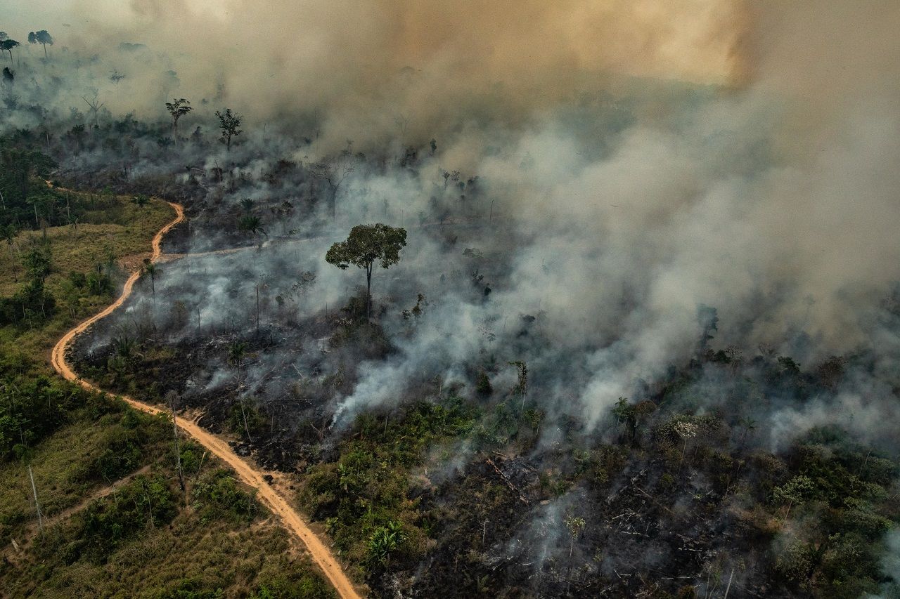 Inferno no paraíso – Temporada de fogo na Amazônia pode agravar avanço da pandemia