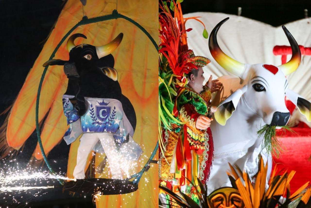 Live dos bumbás arrecada doações para os artistas parintinenses