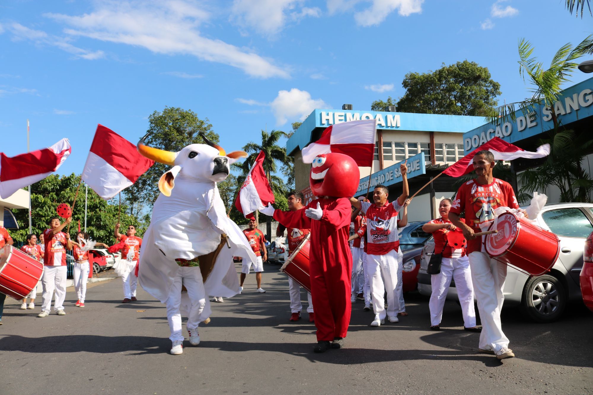 Doadores de sangue terão pocket show do Boi Garantido nesta sexta-feira