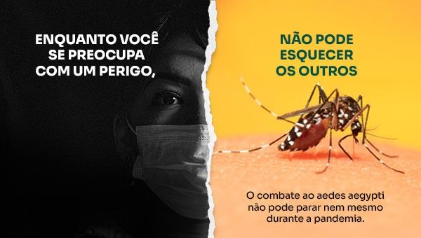 O Aedes pode matar. É preciso evitar