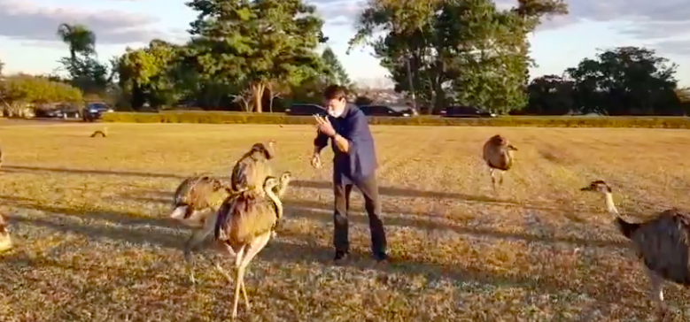 Bolsonaro é atacado novamente por ema; veja o vídeo