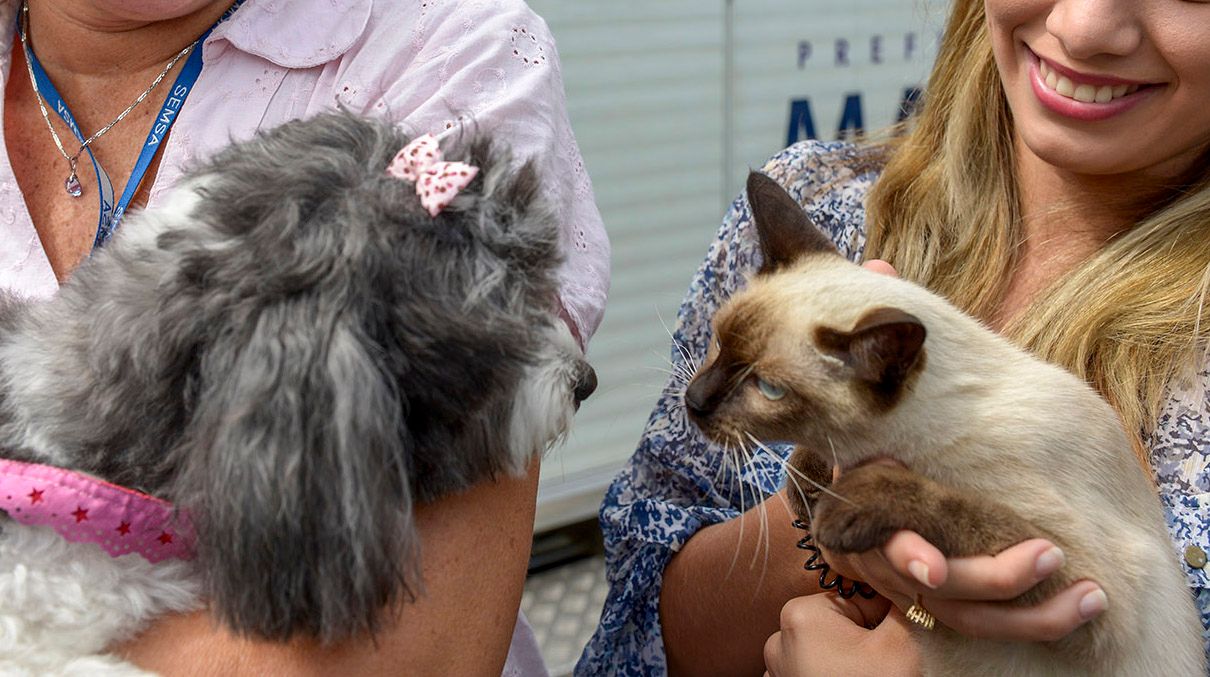 Prefeitura abre processo seletivo para 210 vacinadores e registradores