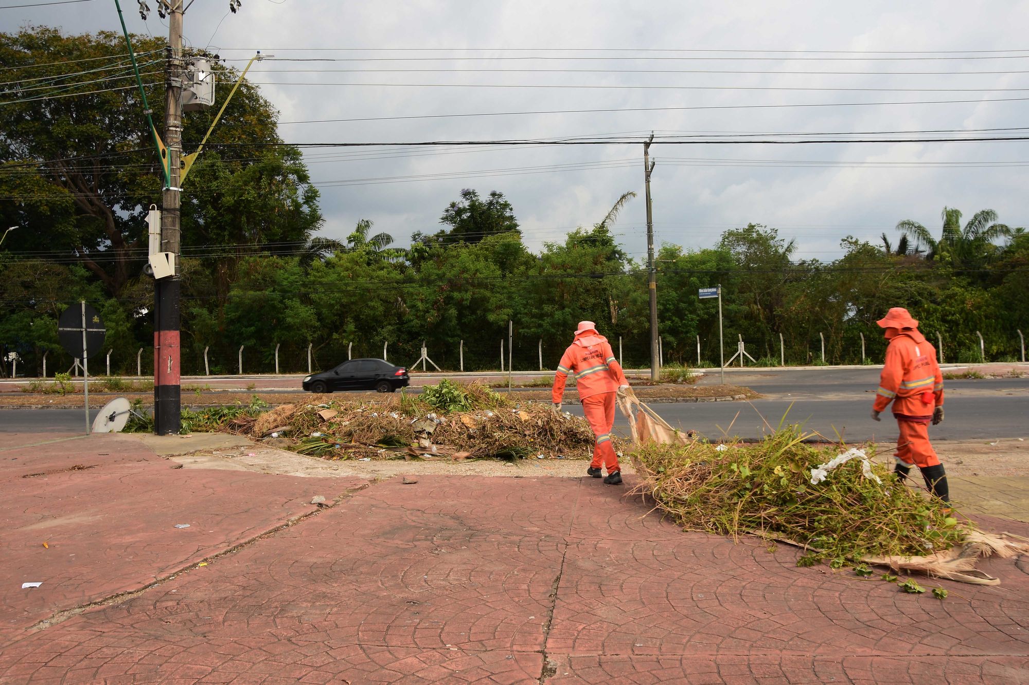 Semulsp realiza mutirão de limpeza na BR-319