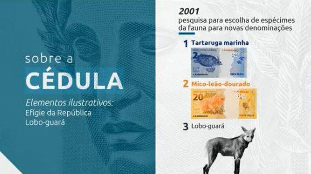 Cédula de R$ 200 entra em circulação nesta quarta-feira