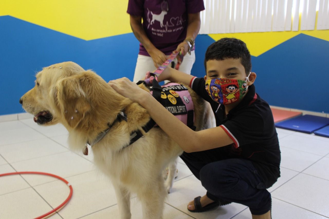 Terapia com cães é retomada pela Sejusc para crianças PcDs