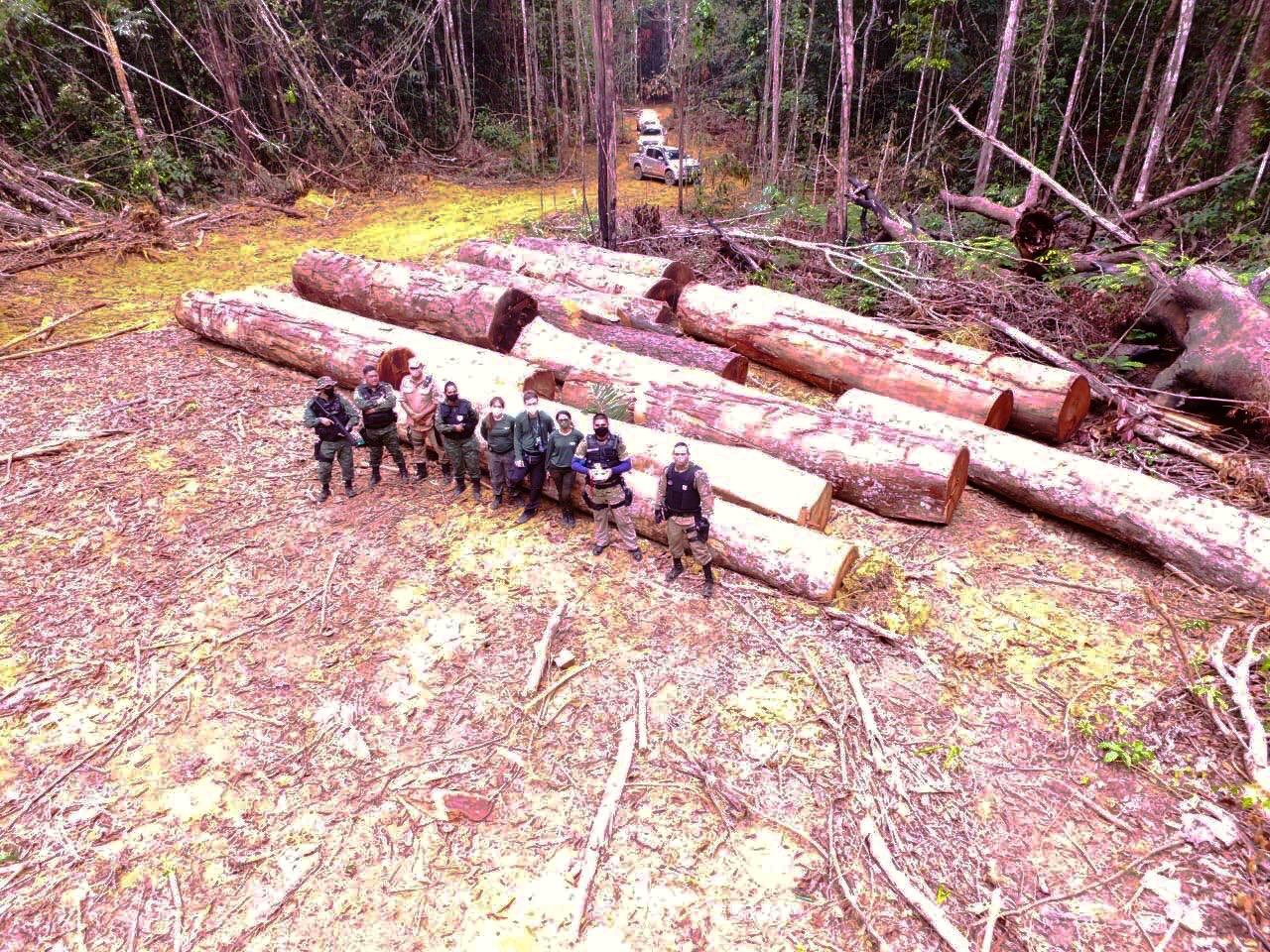 Operação Curuquetê 2 embarga mais de 3,7 mil hectares de terras no sul do Amazonas