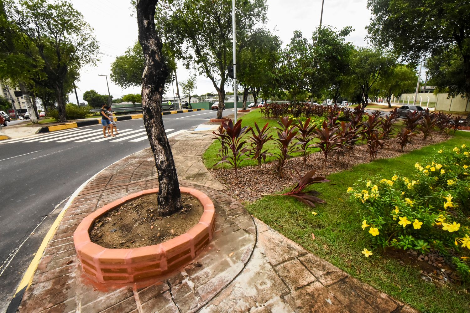 Paisagismo e arborização avançam em Manaus