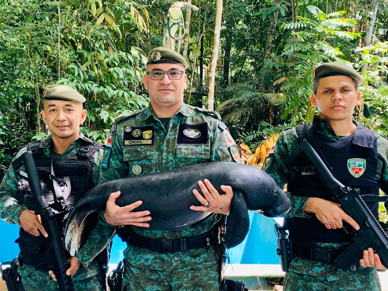 PM registra aumento no resgate de animais com risco de extinção