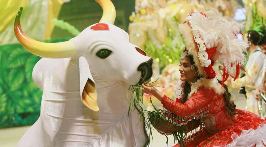 Boi Garantido anuncia saída de três itens oficiais do Festival