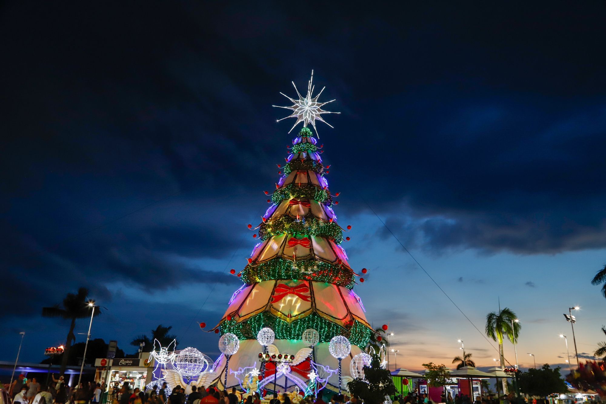 Maior árvore do “Natal do Abraço” é acesa na Ponta Negra