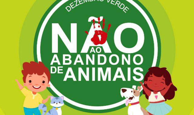 Campanha Dezembro Verde conscientiza contra o abandono de animais