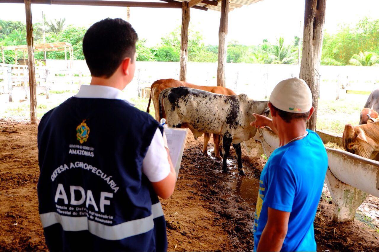 Governo nomeia mais 73 aprovados no concurso da Adaf