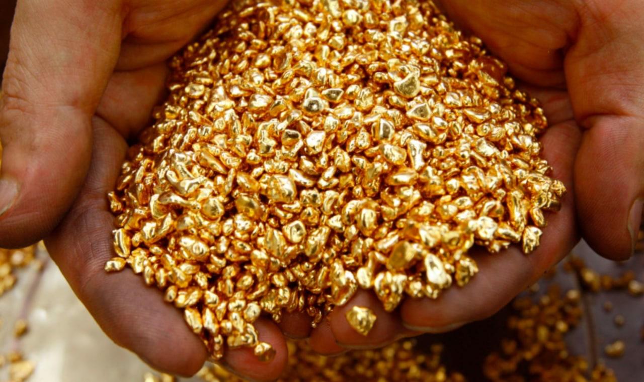 Balança comercial: Amazonas registra maior alta em exportações desde 2014