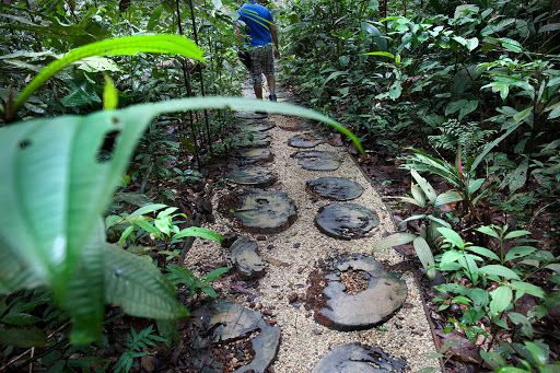 Homem assalta turistas dentro do Museu da Amazônia