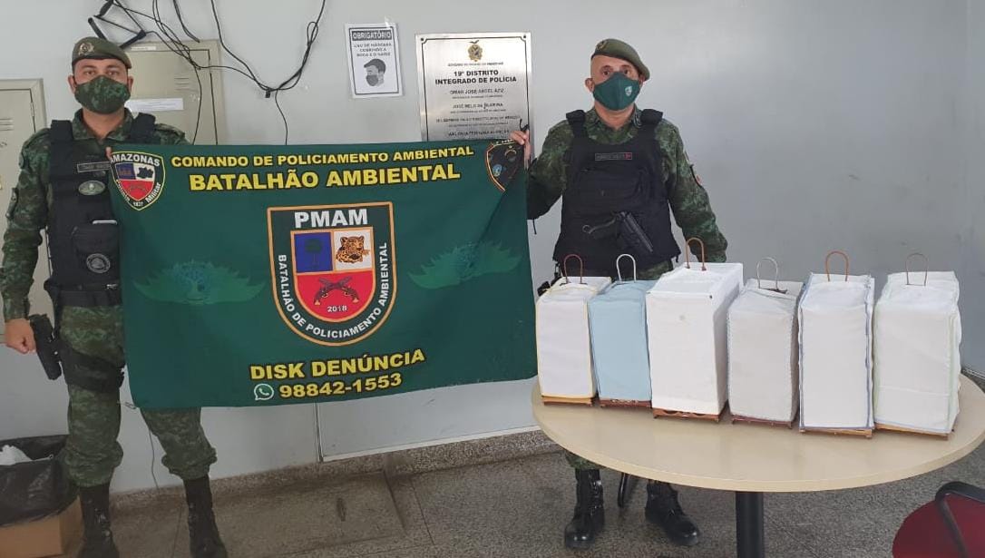 Criadores de pássaros são detidos e aves apreendidas na zona oeste de Manaus