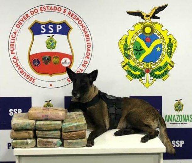Polícia apreende 10 kg de drogas em caixa d'água de barco no AM