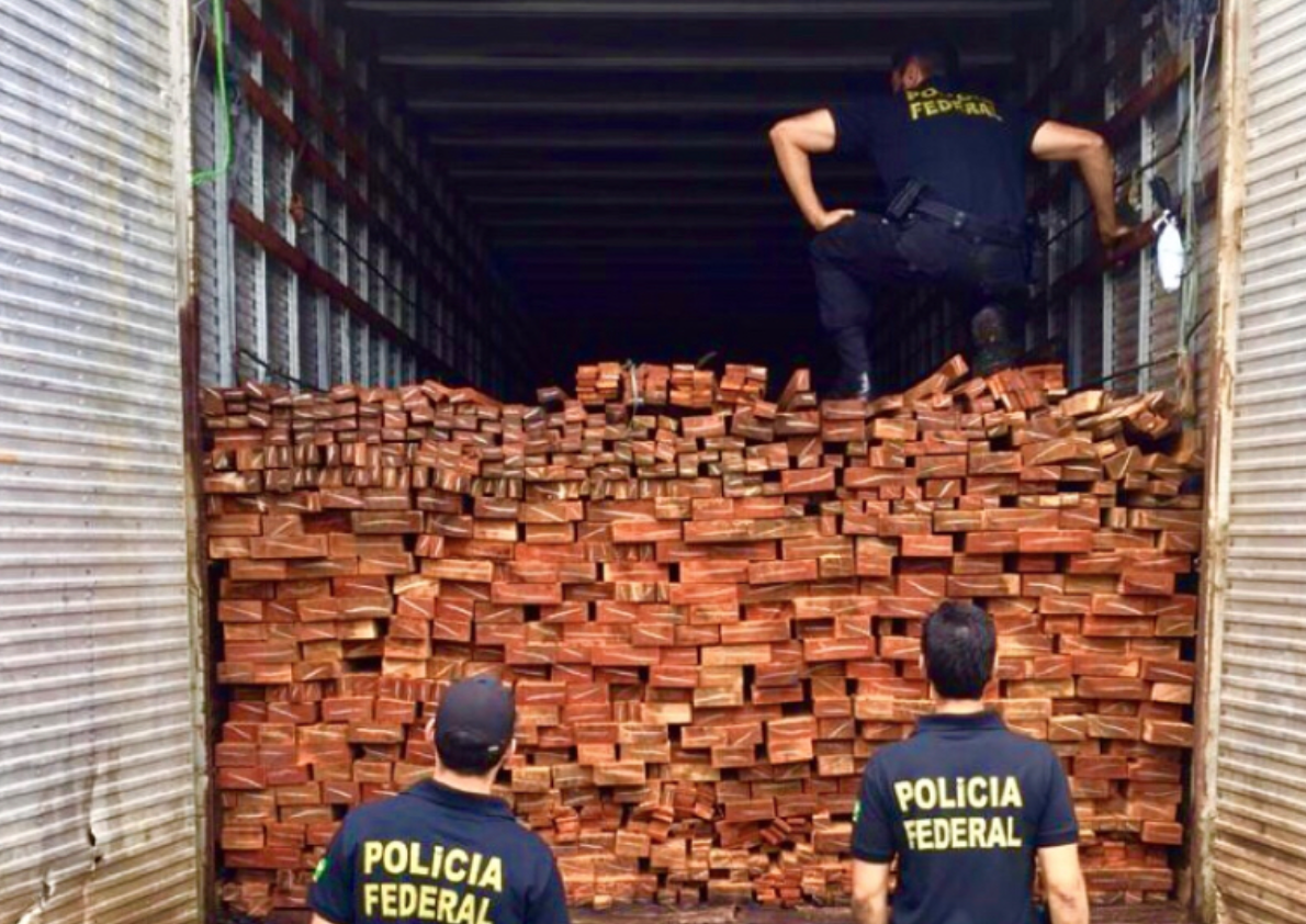 PF apreende madeira ilegal em porto de Manaus