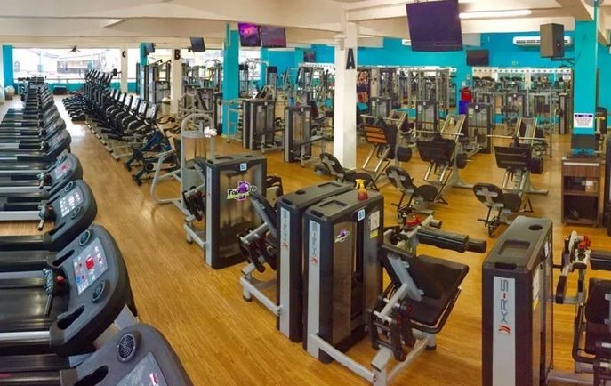 Live é notificada pelo Procon-AM após consumidores relatarem dificuldade para cancelar matrículas