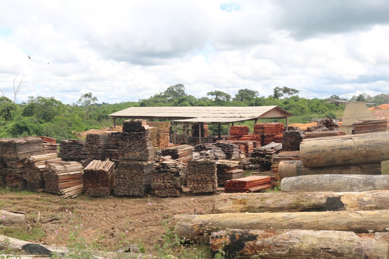 Madeireira ilegal é multada pelo Ipaam