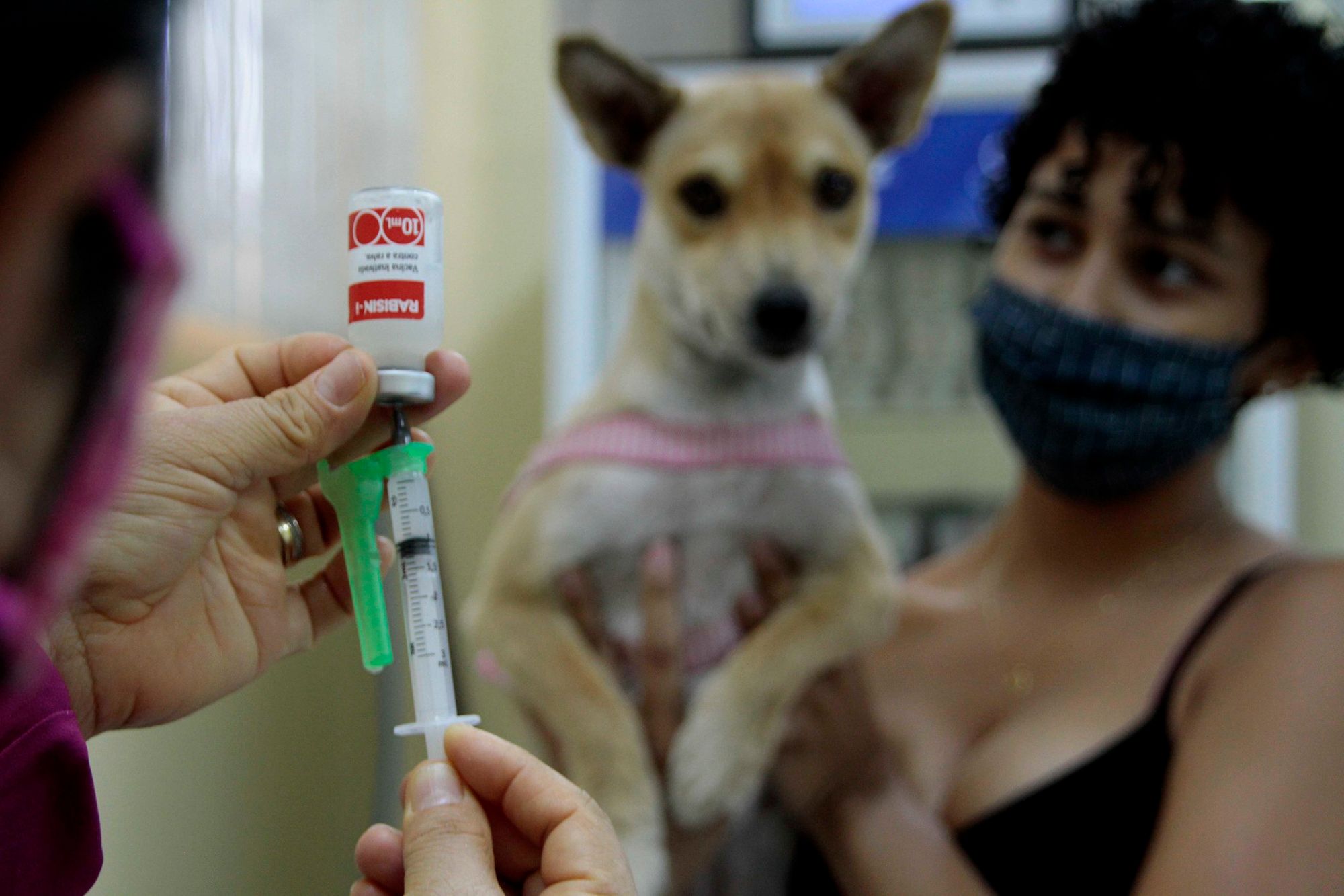 Unidade móvel do CCZ retoma a vacinação antirrábica animal