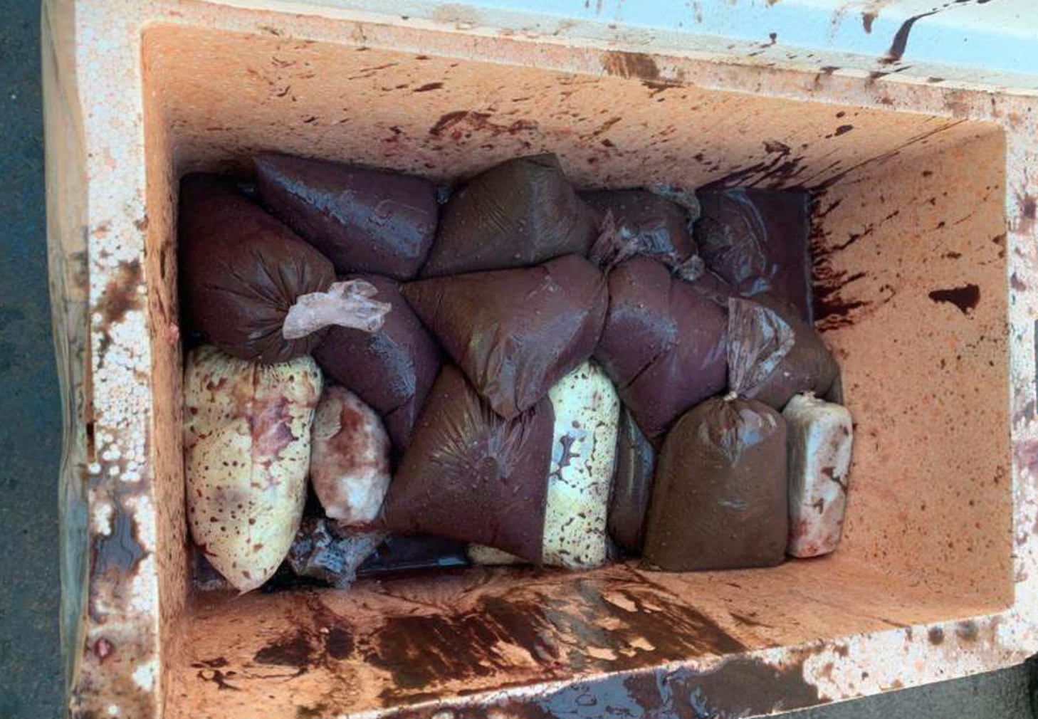 Polícia apreende drogas em pacotes de açaí e cupuaçu