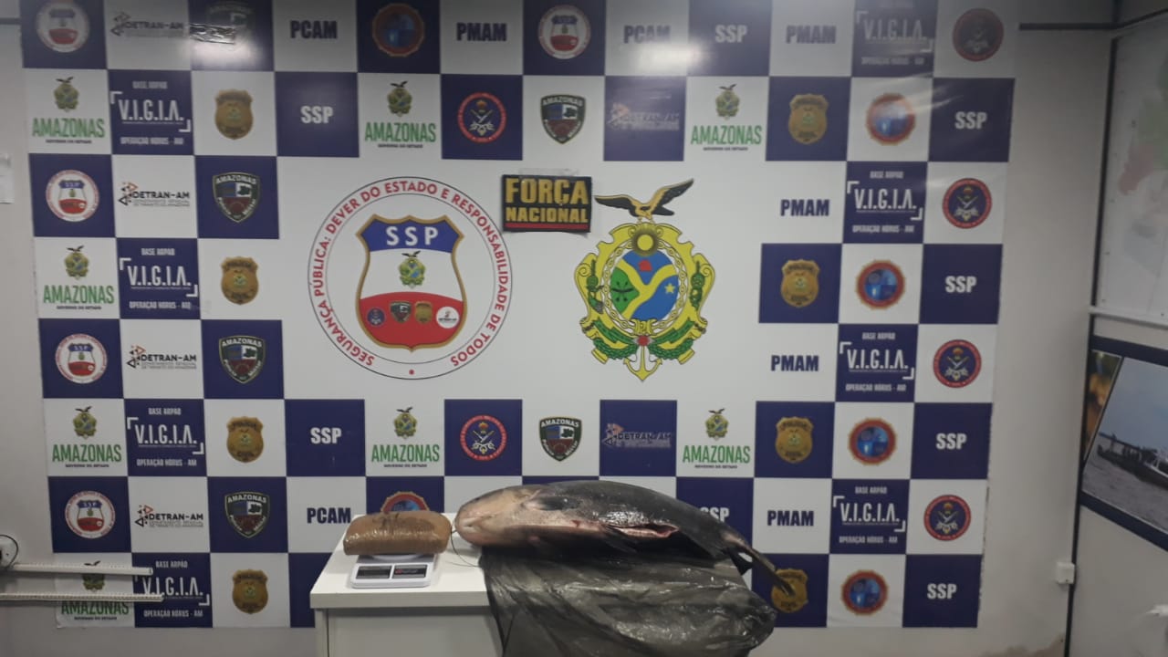 Tambaqui recheado com 1,5 kg de cocaína é apreendido no AM