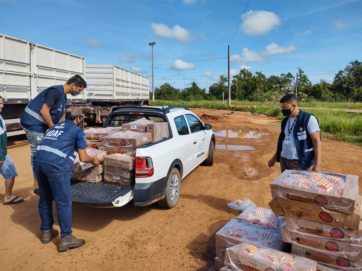 Adaf apreende 850 quilos de frango transportados de forma irregular