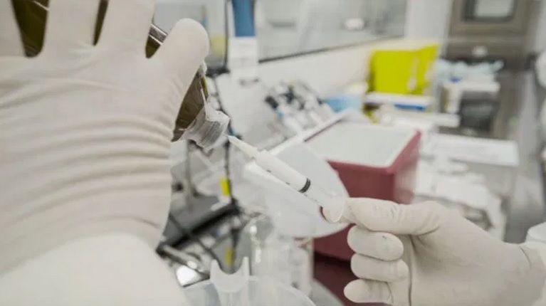 Butantan iniciará testes de soro contra a Covid em humanos