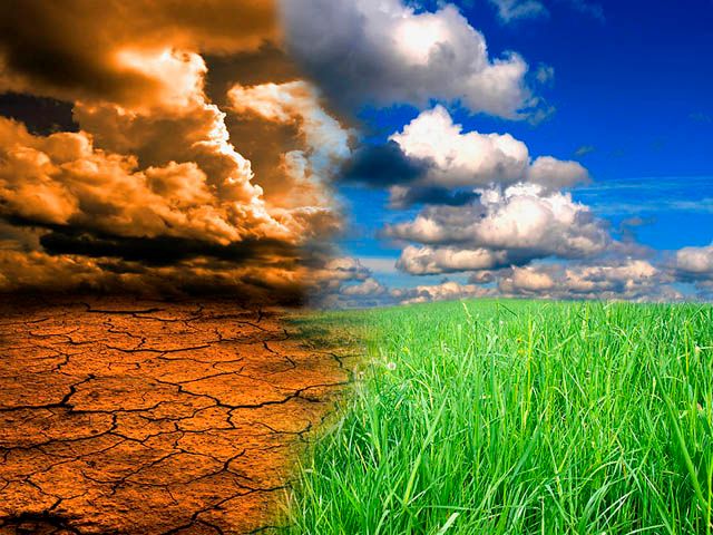 Para 67%, governo decepcionará povo brasileiro se não agir agora para combater mudanças climáticas