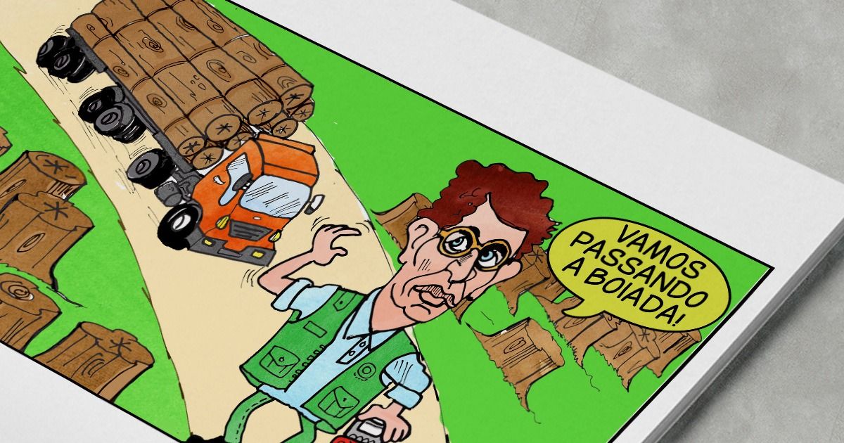 Dito & Feito - Madeira ilegal é liberada pela justiça. Ricardo  Salles comemora e “vai passando a boiada”