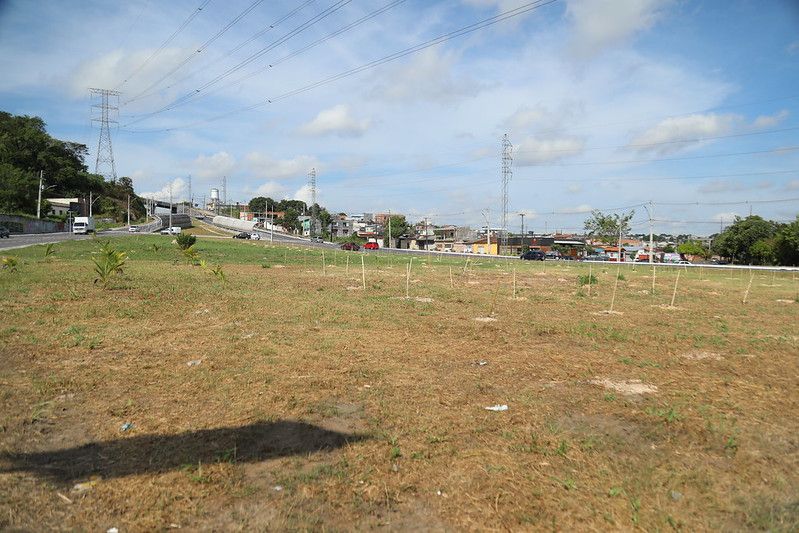 Avenida das Torres receberá memorial em homenagem às vítimas da Covid-19
