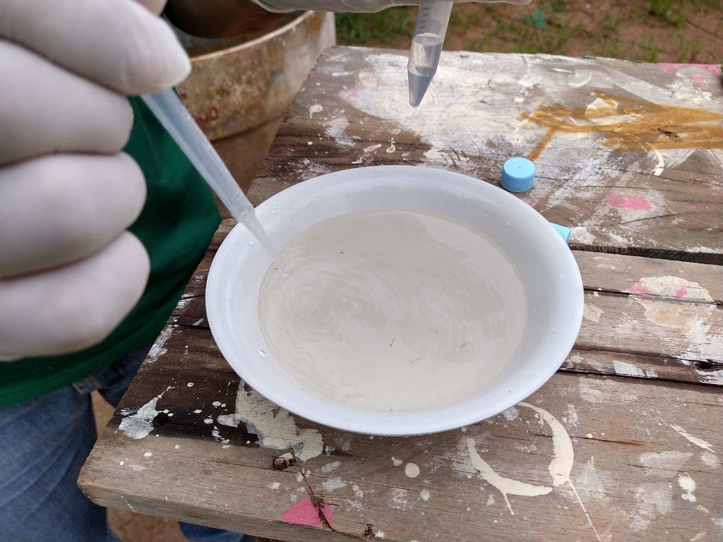 FVS-RCP  investiga casos de Febre Chikungunya no interior