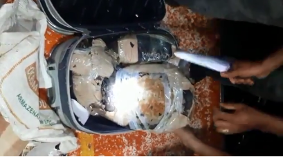 Polícia apreende mais de 40 quelônios no município de Juruá