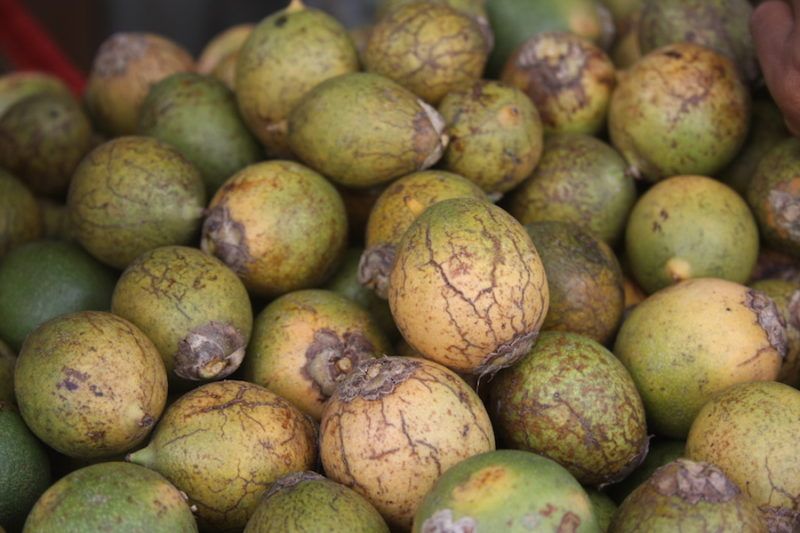 Menino de 8 anos morre após comer tucumã no Amazonas