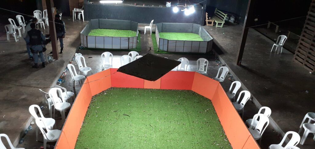 Operação desarticula rinha de galo em Parintins