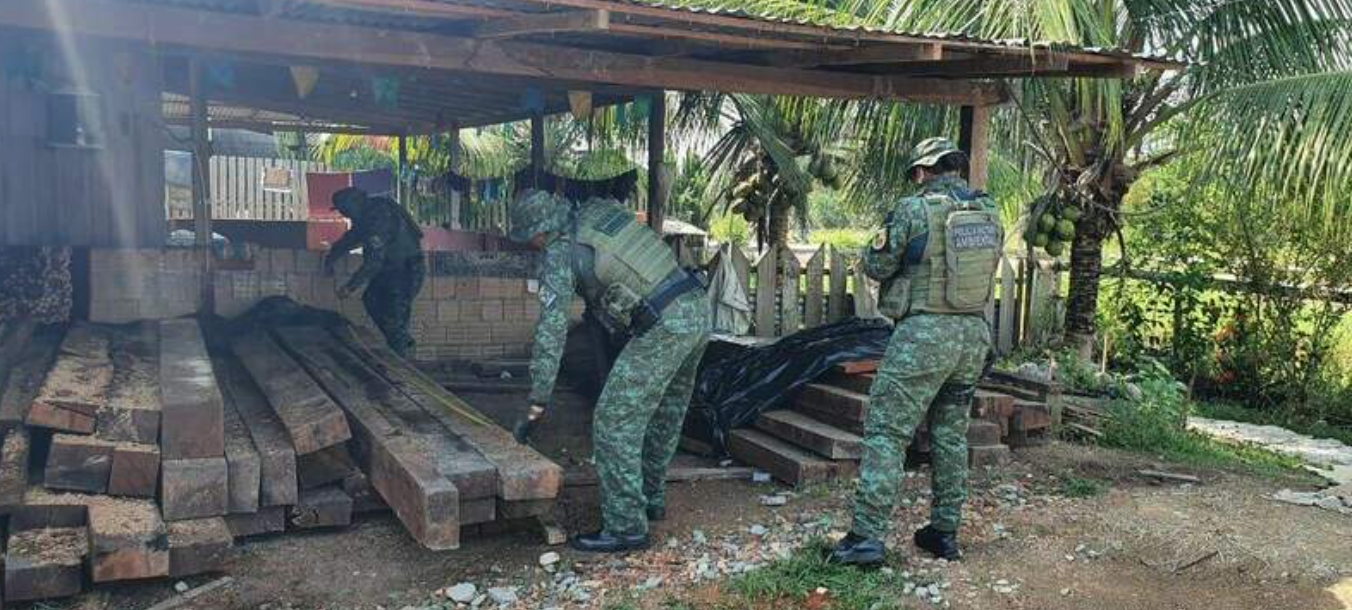 Batalhão Ambiental apreende madeira ilegal no AM