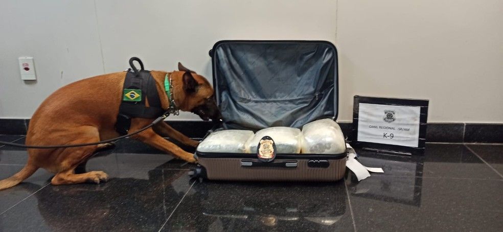 Polícia Federal apreende mala com 6 kg de drogas no Aeroporto de Manaus