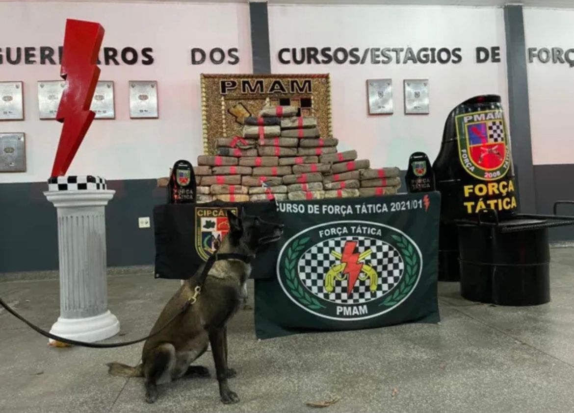 Polícia encontra 80 kg de drogas enterrados em terreno na zona Leste