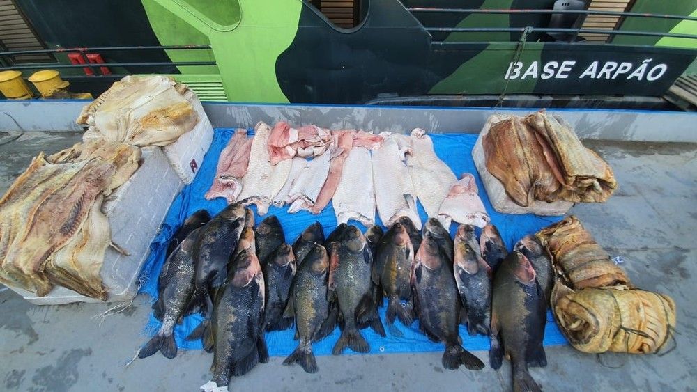 Embarcação é apreendida com mais de 700 quilos de pescado ilegal em Coari