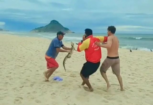 Em vídeo inusitado, jacaré é utilizado como ‘arma’ em briga no Rio de Janeiro; assista
