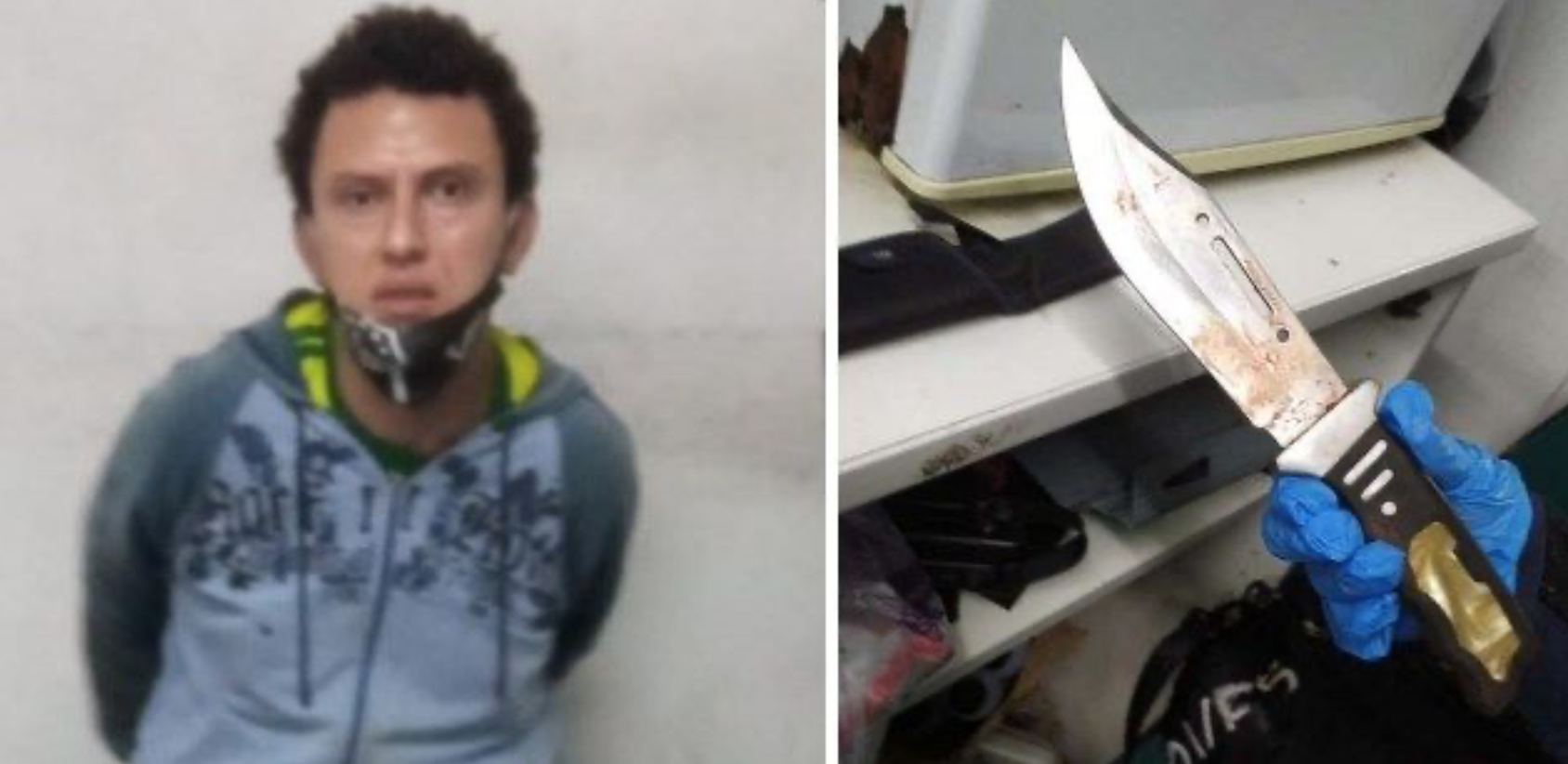 Filho mata a mãe a facadas ao descobrir que seria internado