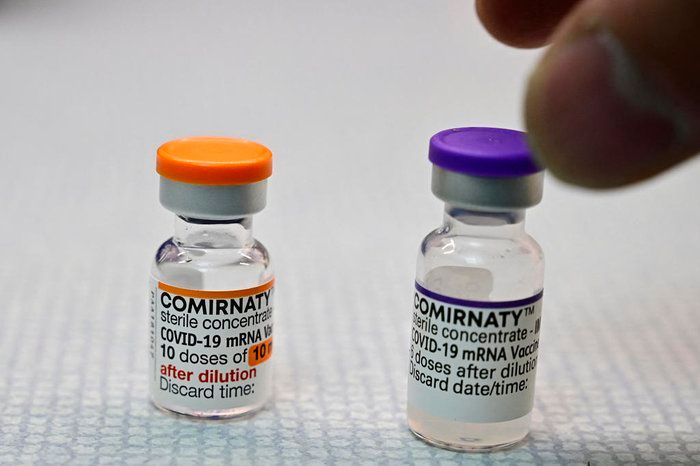 Anvisa autoriza vacina da Pfizer para crianças de cinco a 11 anos